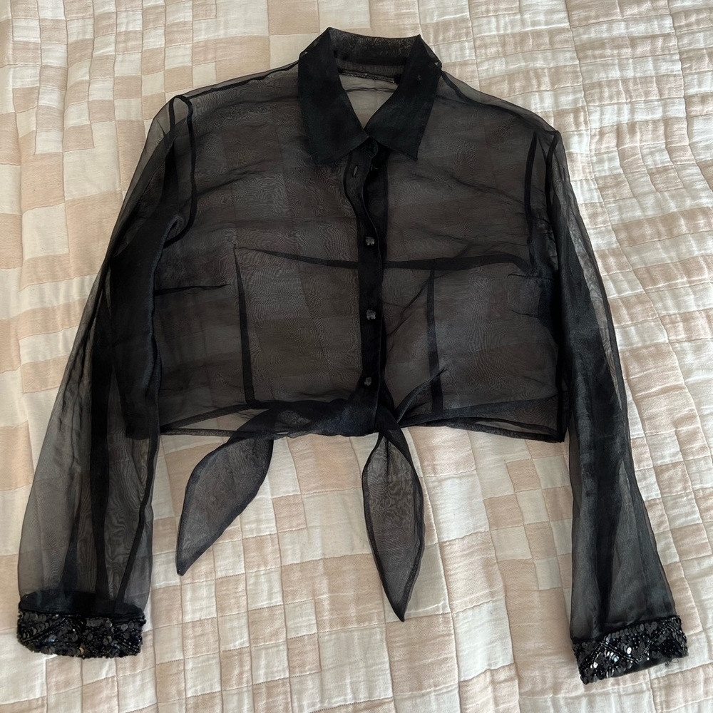 Vintage Black Sheer Long Sleeve Crop Top